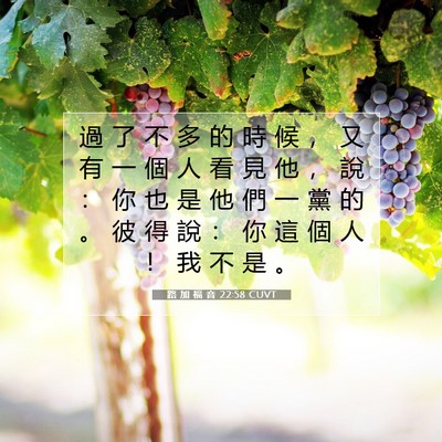 Picture 07 - 路 加 福 音 22:58 CUVT - 過 了 不 多 的 時 候 ， 又 有 一 個 - Bible Verse Picture