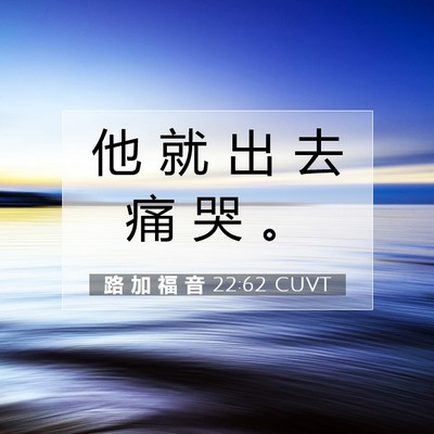 Picture 07 - 路 加 福 音 22:62 CUVT - 他 就 出 去 痛 哭 - Bible Verse Picture