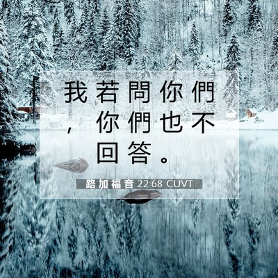 Picture 07 - 路 加 福 音 22:68 CUVT - 我 若 問 你 們 ， 你 們 也 不 回 答 - Bible Verse Picture