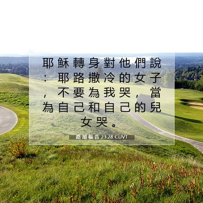 Picture 07 - 路 加 福 音 23:28 CUVT - 耶 穌 轉 身 對 他 們 說 ： 耶 路 撒 - Bible Verse Picture