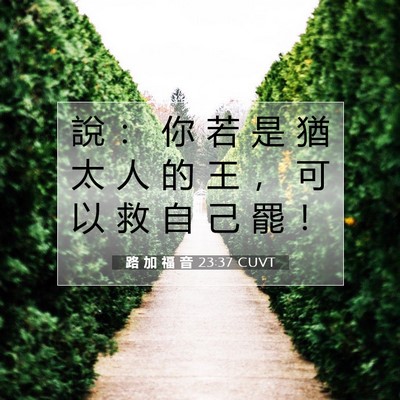Picture 07 - 路 加 福 音 23:37 CUVT - 說 ： 你 若 是 猶 太 人 的 王 ， 可 - Bible Verse Picture