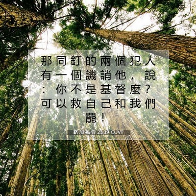 Picture 07 - 路 加 福 音 23:39 CUVT - 那 同 釘 的 兩 個 犯 人 有 一 個 譏 - Bible Verse Picture