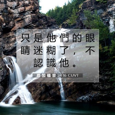 Picture 07 - 路 加 福 音 24:16 CUVT - 只 是 他 們 的 眼 睛 迷 糊 了 ， 不 - Bible Verse Picture