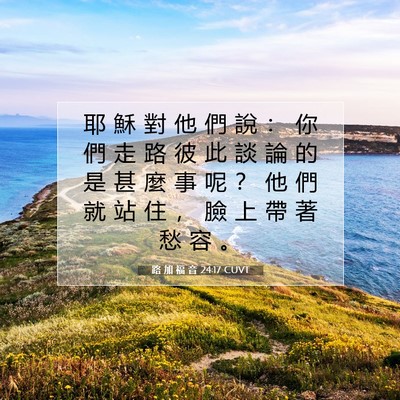 Picture 07 - 路 加 福 音 24:17 CUVT - 耶 穌 對 他 們 說 ： 你 們 走 路 彼 - Bible Verse Picture