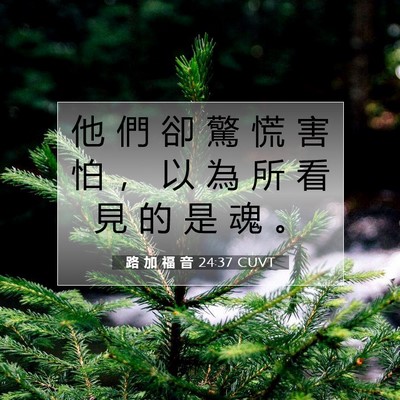 Picture 07 - 路 加 福 音 24:37 CUVT - 他 們 卻 驚 慌 害 怕 ， 以 為 所 看 - Bible Verse Picture
