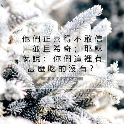 Picture 07 - 路 加 福 音 24:41 CUVT - 他 們 正 喜 得 不 敢 信 ， 並 且 希 - Bible Verse Picture