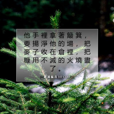 Picture 07 - 路 加 福 音 3:17 CUVT - 他 手 裡 拿 著 簸 箕 ， 要 揚 淨 他 - Bible Verse Picture