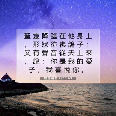 Picture 07 - 路 加 福 音 3:22 CUVT - 聖 靈 降 臨 在 他 身 上 ， 形 狀 彷 - Bible Verse Picture