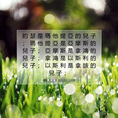 Picture 07 - 路 加 福 音 3:25 CUVT - 約 瑟 是 瑪 他 提 亞 的 兒 子 ； 瑪 - Bible Verse Picture