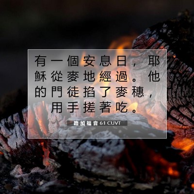 Picture 07 - 路 加 福 音 6:1 CUVT - 有 一 個 安 息 日 ， 耶 穌 從 麥 地 - Bible Verse Picture