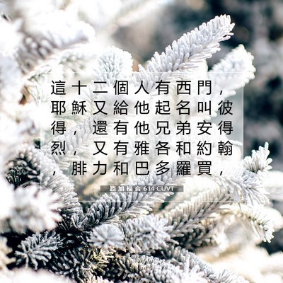 Picture 07 - 路 加 福 音 6:14 CUVT - 這 十 二 個 人 有 西 門 ， 耶 穌 又 - Bible Verse Picture