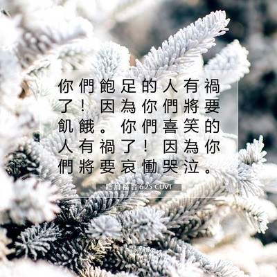 Picture 07 - 路 加 福 音 6:25 CUVT - 你 們 飽 足 的 人 有 禍 了 ！ 因 為 - Bible Verse Picture
