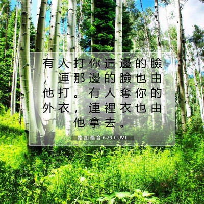 Picture 07 - 路 加 福 音 6:29 CUVT - 有 人 打 你 這 邊 的 臉 ， 連 那 邊 - Bible Verse Picture