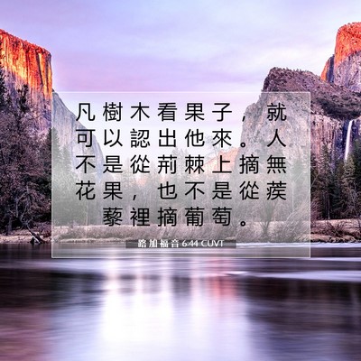 Picture 07 - 路 加 福 音 6:44 CUVT - 凡 樹 木 看 果 子 ， 就 可 以 認 出 - Bible Verse Picture