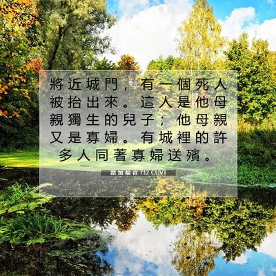 Picture 07 - 路 加 福 音 7:12 CUVT - 將 近 城 門 ， 有 一 個 死 人 被 抬 - Bible Verse Picture