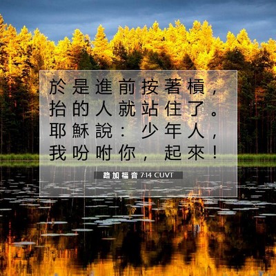 Picture 07 - 路 加 福 音 7:14 CUVT - 於 是 進 前 按 著 槓 ， 抬 的 人 就 - Bible Verse Picture