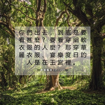 Picture 07 - 路 加 福 音 7:25 CUVT - 你 們 出 去 ， 到 底 是 要 看 甚 麼 - Bible Verse Picture