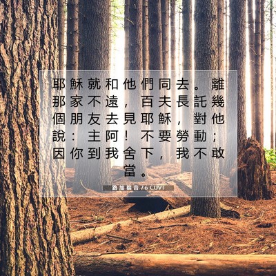 Picture 07 - 路 加 福 音 7:6 CUVT - 耶 穌 就 和 他 們 同 去 。 離 那 家 - Bible Verse Picture