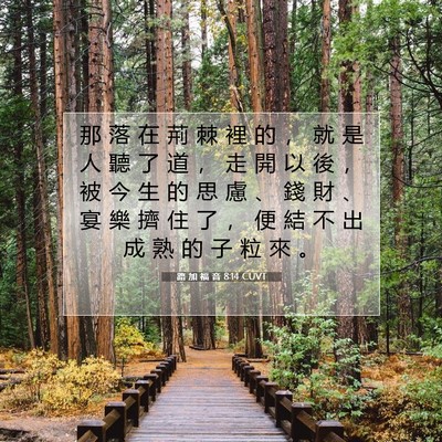 Picture 07 - 路 加 福 音 8:14 CUVT - 那 落 在 荊 棘 裡 的 ， 就 是 人 聽 - Bible Verse Picture