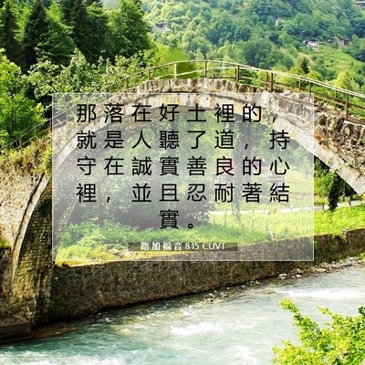 Picture 07 - 路 加 福 音 8:15 CUVT - 那 落 在 好 土 裡 的 ， 就 是 人 聽 - Bible Verse Picture