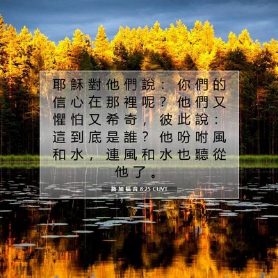 Picture 07 - 路 加 福 音 8:25 CUVT - 耶 穌 對 他 們 說 ： 你 們 的 信 心 - Bible Verse Picture