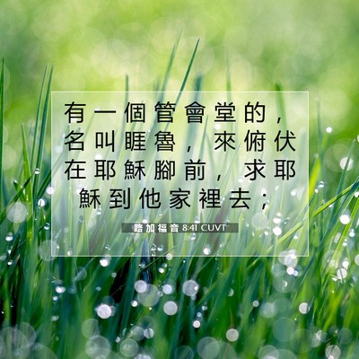 Picture 07 - 路 加 福 音 8:41 CUVT - 有 一 個 管 會 堂 的 ， 名 叫 睚 魯 - Bible Verse Picture