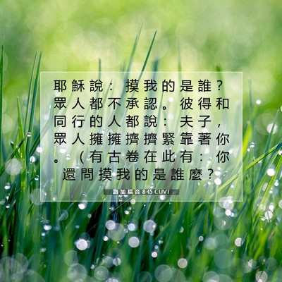 Picture 07 - 路 加 福 音 8:45 CUVT - 耶 穌 說 ： 摸 我 的 是 誰 ？ 眾 人 - Bible Verse Picture