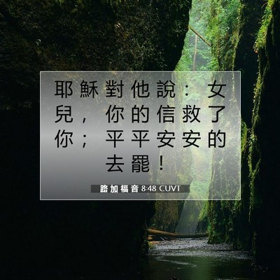 Picture 07 - 路 加 福 音 8:48 CUVT - 耶 穌 對 他 說 ： 女 兒 ， 你 的 信 - Bible Verse Picture