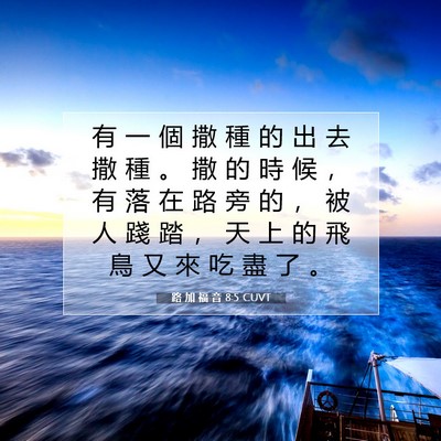 Picture 07 - 路 加 福 音 8:5 CUVT - 有 一 個 撒 種 的 出 去 撒 種 。 撒 - Bible Verse Picture