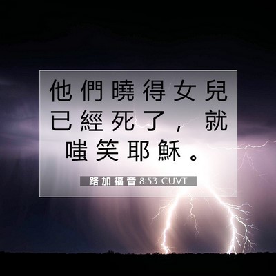 Picture 07 - 路 加 福 音 8:53 CUVT - 他 們 曉 得 女 兒 已 經 死 了 ， 就 - Bible Verse Picture