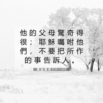 Picture 07 - 路 加 福 音 8:56 CUVT - 他 的 父 母 驚 奇 得 很 ； 耶 穌 囑 - Bible Verse Picture