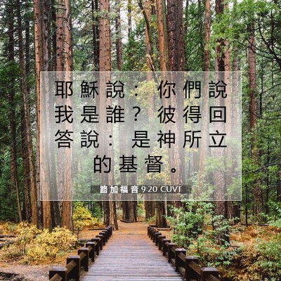 Picture 07 - 路 加 福 音 9:20 CUVT - 耶 穌 說 ： 你 們 說 我 是 誰 ？ 彼 - Bible Verse Picture
