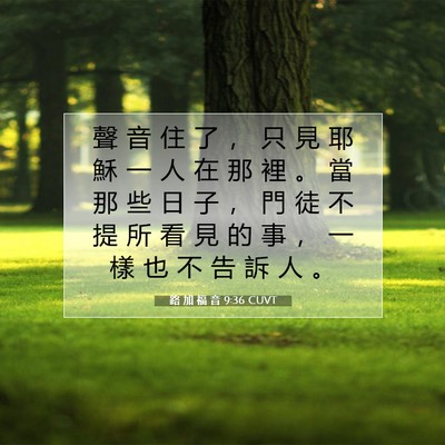 Picture 07 - 路 加 福 音 9:36 CUVT - 聲 音 住 了 ， 只 見 耶 穌 一 人 在 - Bible Verse Picture