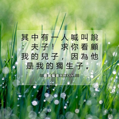 Picture 07 - 路 加 福 音 9:38 CUVT - 其 中 有 一 人 喊 叫 說 ： 夫 子 ！ - Bible Verse Picture