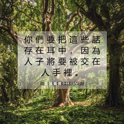 Picture 07 - 路 加 福 音 9:44 CUVT - 你 們 要 把 這 些 話 存 在 耳 中 ， - Bible Verse Picture