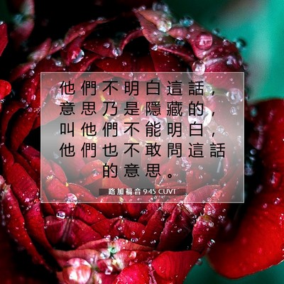 Picture 07 - 路 加 福 音 9:45 CUVT - 他 們 不 明 白 這 話 ， 意 思 乃 是 - Bible Verse Picture