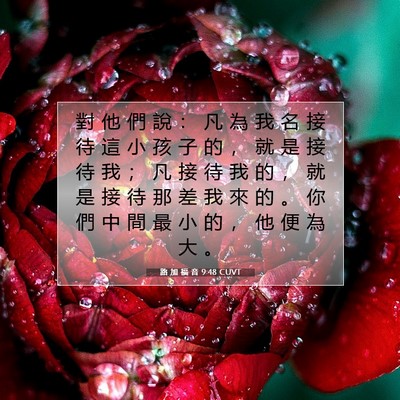 Picture 07 - 路 加 福 音 9:48 CUVT - 對 他 們 說 ： 凡 為 我 名 接 待 這 - Bible Verse Picture