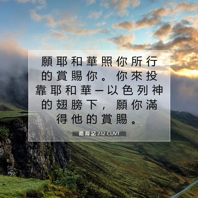 Picture 07 - 路 得 記 2:12 CUVT - 願 耶 和 華 照 你 所 行 的 賞 賜 你 - Bible Verse Picture