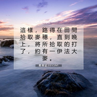 Picture 07 - 路 得 記 2:17 CUVT - 這 樣 ， 路 得 在 田 間 拾 取 麥 穗 - Bible Verse Picture