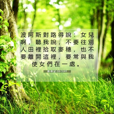 Picture 07 - 路 得 記 2:8 CUVT - 波 阿 斯 對 路 得 說 ： 女 兒 啊 ， - Bible Verse Picture