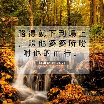 Picture 07 - 路 得 記 3:6 CUVT - 路 得 就 下 到 場 上 ， 照 他 婆 婆 - Bible Verse Picture