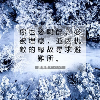 Picture 07 - 那 鴻 書 3:11 CUVT - 你 也 必 喝 醉 ， 必 被 埋 藏 ， 並 - Bible Verse Picture