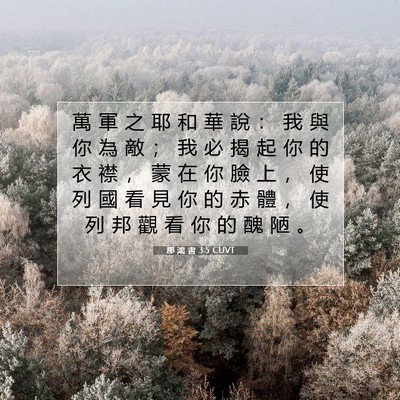 Picture 07 - 那 鴻 書 3:5 CUVT - 萬 軍 之 耶 和 華 說 ： 我 與 你 為 - Bible Verse Picture