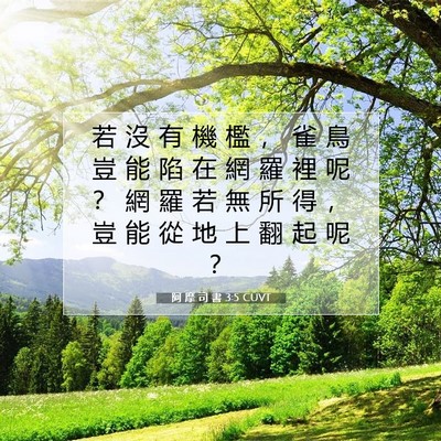 Picture 07 - 阿 摩 司 書 3:5 CUVT - 若 沒 有 機 檻 ， 雀 鳥 豈 能 陷 在 - Bible Verse Picture
