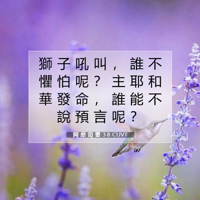Picture 07 - 阿 摩 司 書 3:8 CUVT - 獅 子 吼 叫 ， 誰 不 懼 怕 呢 ？ 主 - Bible Verse Picture