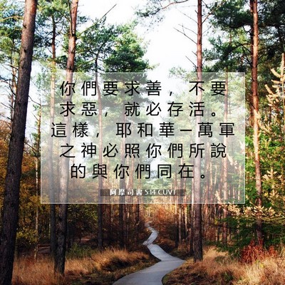 Picture 07 - 阿 摩 司 書 5:14 CUVT - 你 們 要 求 善 ， 不 要 求 惡 ， 就 - Bible Verse Picture