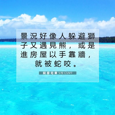 Picture 07 - 阿 摩 司 書 5:19 CUVT - 景 況 好 像 人 躲 避 獅 子 又 遇 見 - Bible Verse Picture