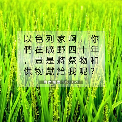 Picture 07 - 阿 摩 司 書 5:25 CUVT - 以 色 列 家 啊 ， 你 們 在 曠 野 四 - Bible Verse Picture