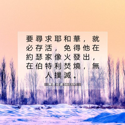 Picture 07 - 阿 摩 司 書 5:6 CUVT - 要 尋 求 耶 和 華 ， 就 必 存 活 ， - Bible Verse Picture