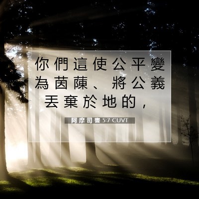 Picture 07 - 阿 摩 司 書 5:7 CUVT - 你 們 這 使 公 平 變 為 茵 蔯 、 將 - Bible Verse Picture